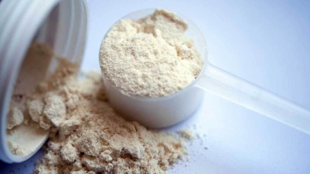 Top 10 Protein Powder Manufacturing Companies In India